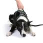 Preview: DOOG Neotech Harness Green Gr. XL Preview: DOOG Neotech Harness Green Gr. XL